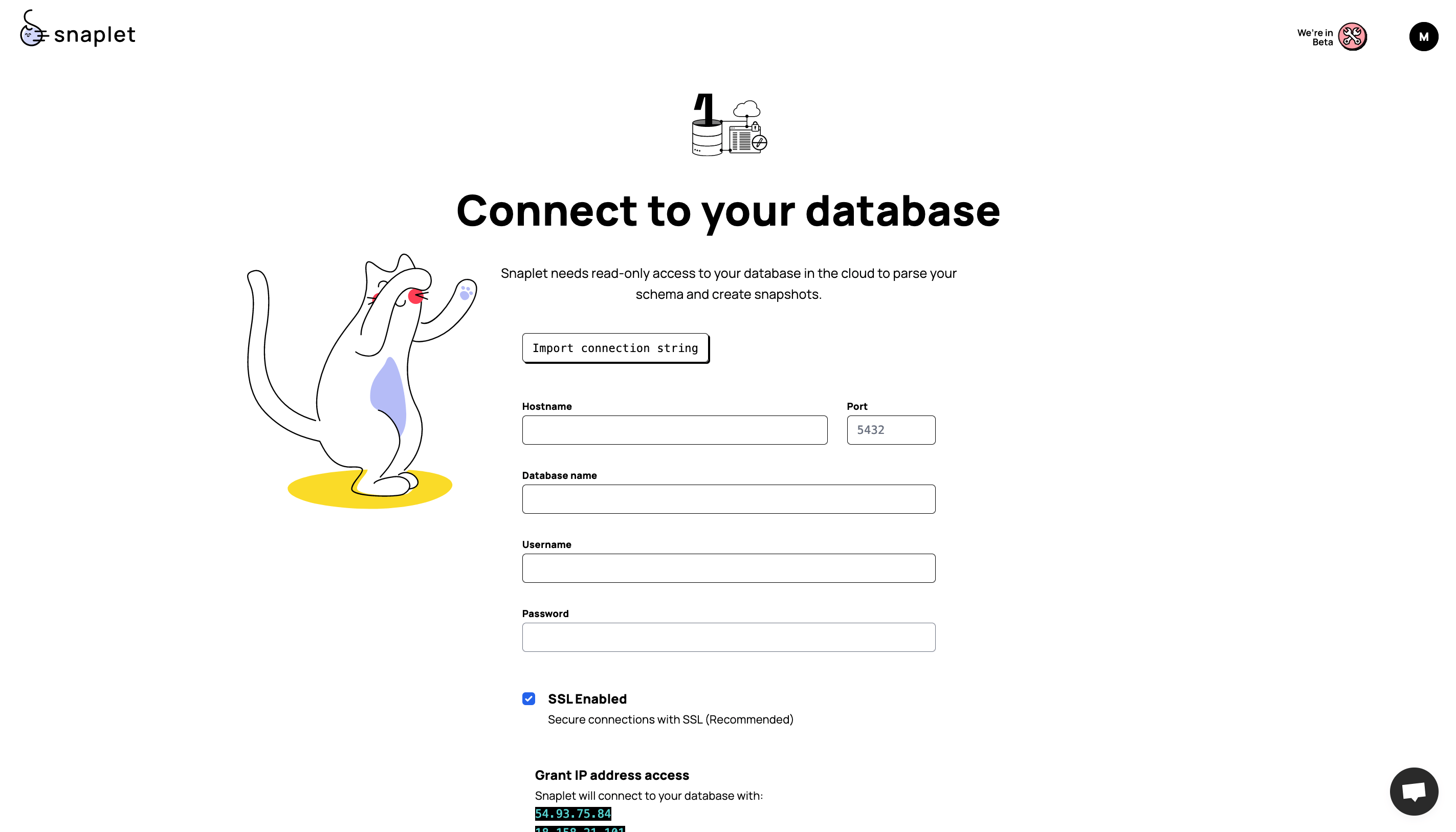 connect-your-database